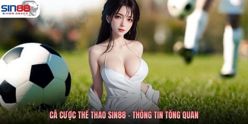 Cá cược thể thao Sin88 - Thông tin tổng quan