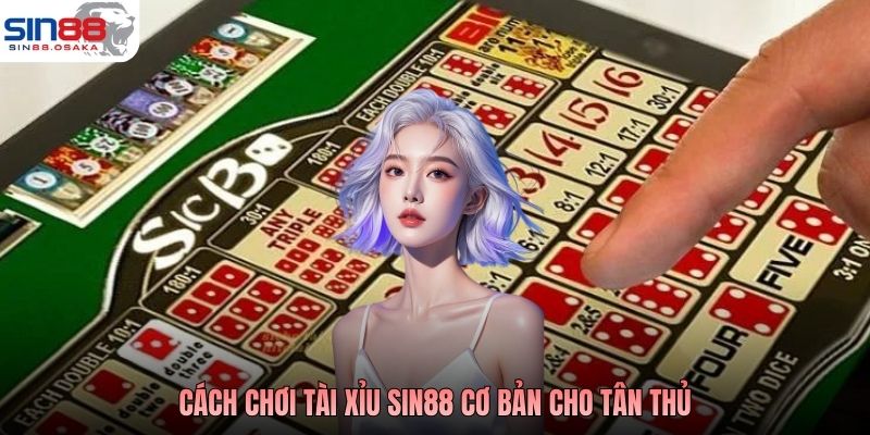 Tài Xỉu Sin88 - Cược Hay, Thắng Dễ, Rinh Ngàn Quà Hay 3 Cách chơi tài xỉu Sin88 cơ bản cho tân thủ