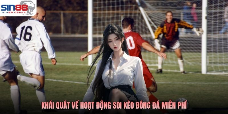 Soi Kèo Bóng Đá Miễn Phí - Chơi Chuẩn, Trả Thưởng Nhanh 2 Khái quát về hoạt động soi kèo bóng đá miễn phí